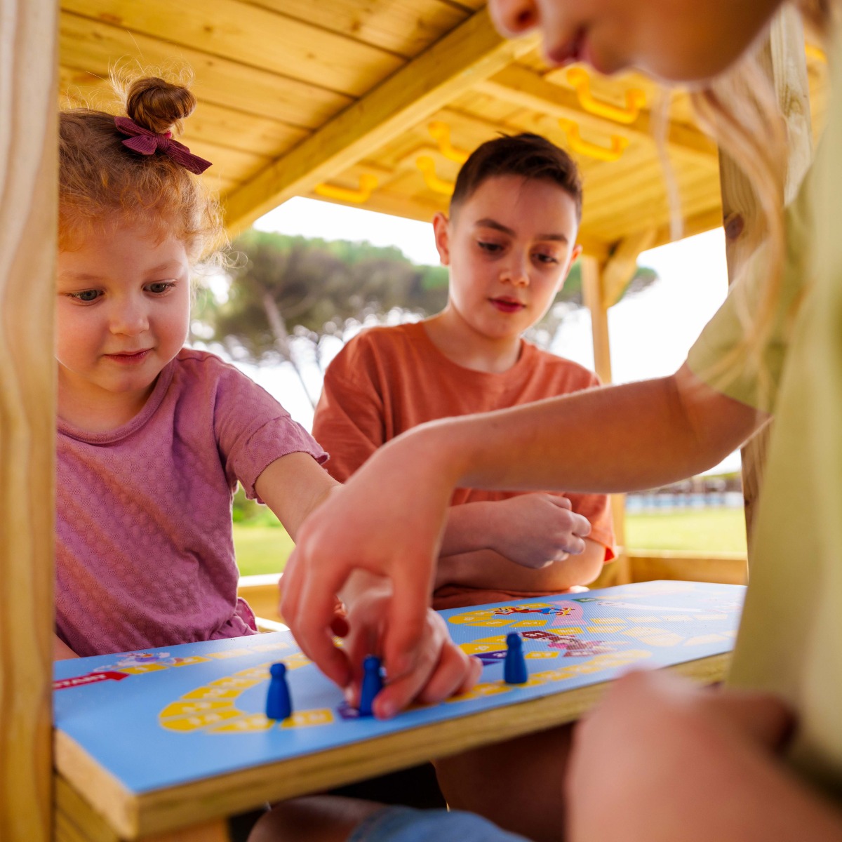 Disney's Quest climbing frame by Wickey  833407_k